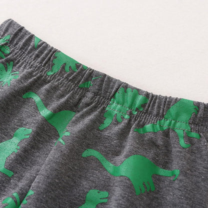 Kids Clothes Set,1-8Years Old Kids Boys Girls Long Sleeve Dinosaur Printed Top and Pants Set Outfit (Dark Gray-02#, 3-4 Years)